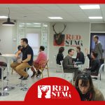 BUSINESS LINK RED STAG CHOLET