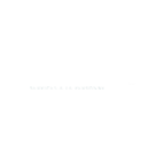 Fidelys